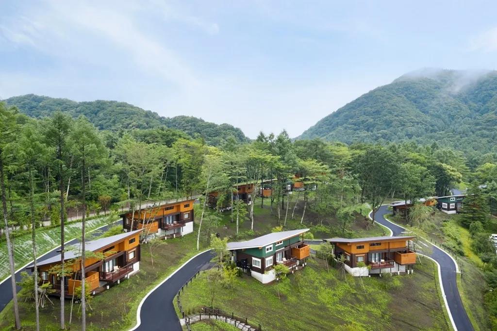 鼎馳木業